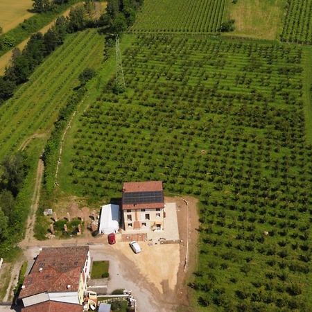 Corte Bottura Agriturismo Castelnuovo del Garda Exteriér fotografie